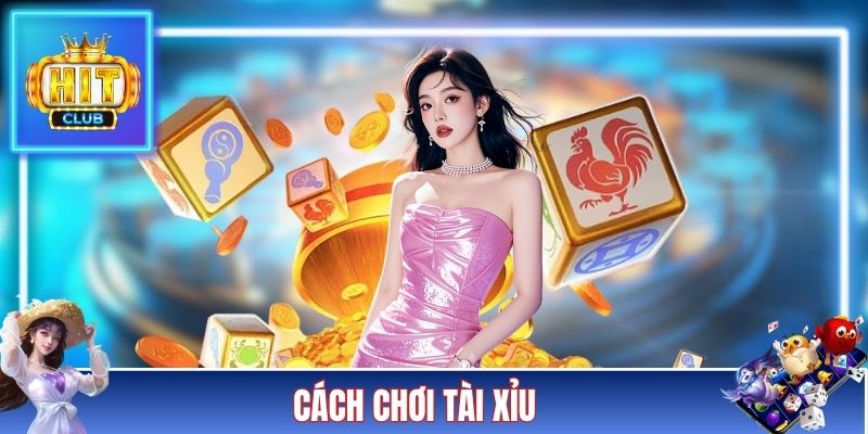 Cách Chơi Tài Xỉu - Nguyên Tắc Giúp Thành Viên Thắng Mọi Ván