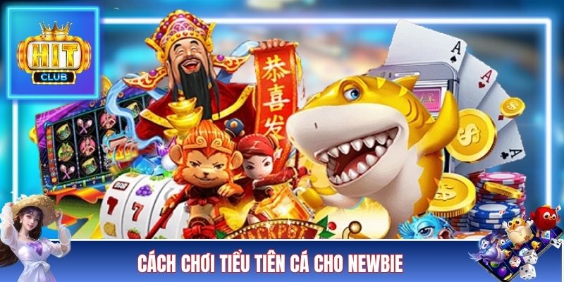 Cách chơi tiểu tiên cá cho newbie