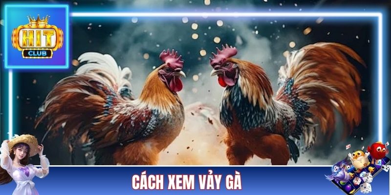 Cách Xem Vảy Gà Hitclub - Mẹo Chọn Chiến Kê Chuẩn Xác Nhất
