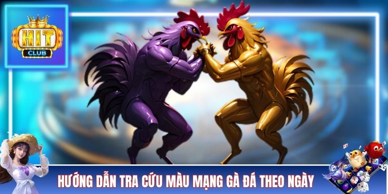 Hướng dẫn tra cứu màu mạng gà đá theo ngày