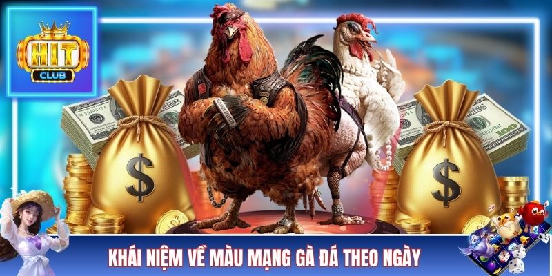 Khái niệm về màu mạng gà đá theo ngày