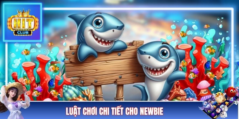 Luật chơi chi tiết cho newbie