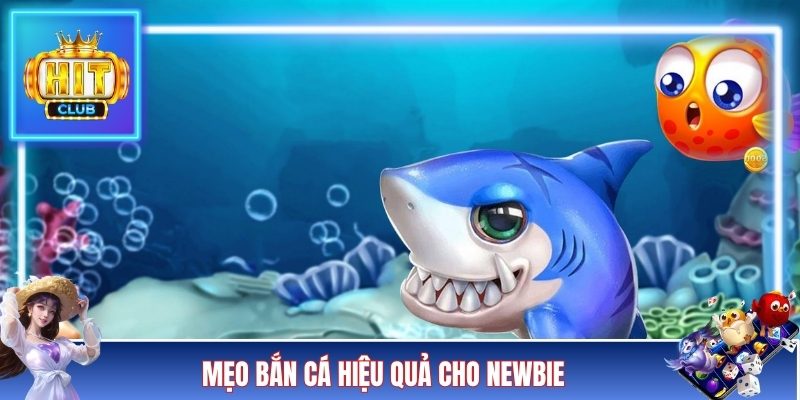 Mẹo bắn cá hiệu quả cho newbie