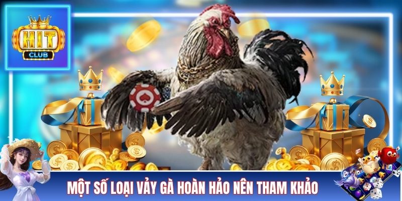 Một số loại vảy gà hoàn hảo nên tham khảo