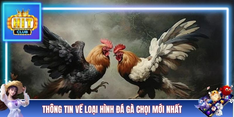 Thông tin về loại hình đá gà chọi mới nhất