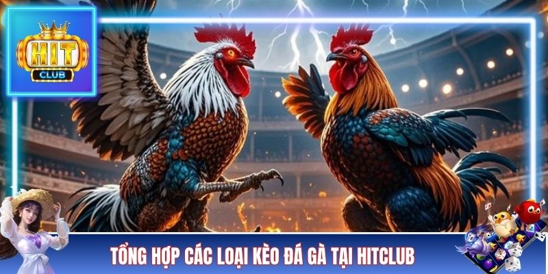 Tổng hợp các loại kèo đá gà tại HITCLUB
